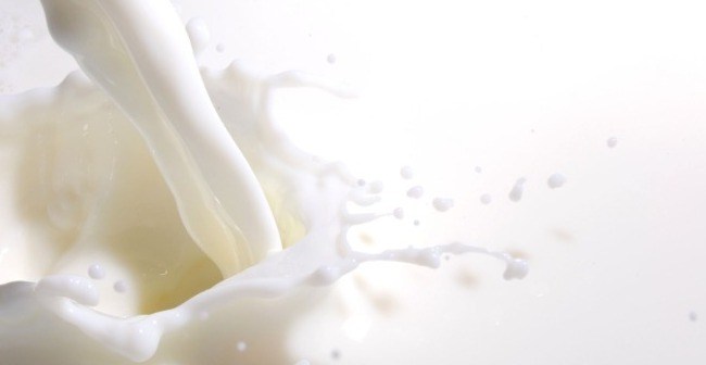 Tout savoir pour une pasteurisation réussie !